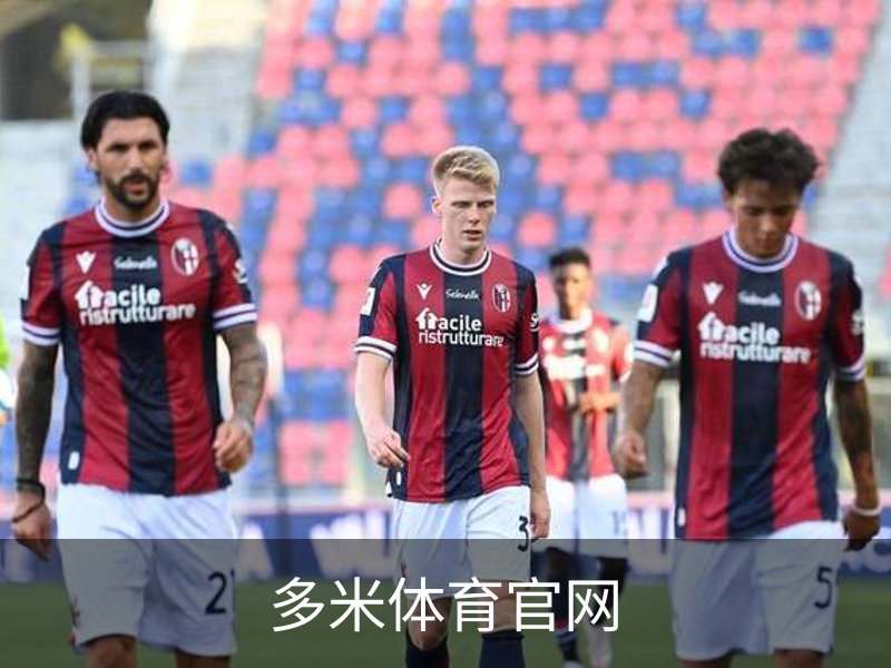 多米体育官网简介